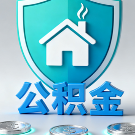 琼海公积金代办行业观察：谁在提供专业服务？